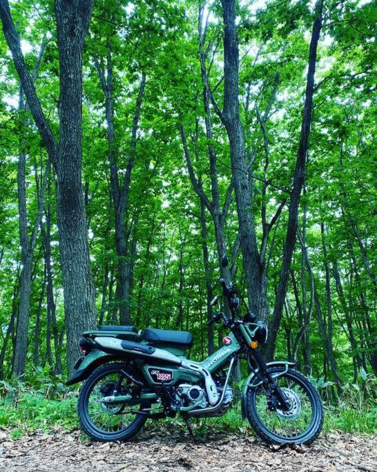 Oasis Bieiアパートメント エクステリア 写真